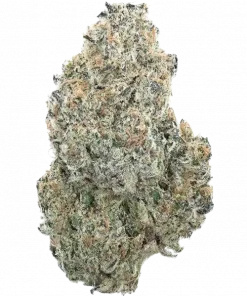 Sweet Valley Kush, tatlı ve sert aromasıyla öne çıkan Indica dominant bir türdür. Rahatlatıcı etkileriyle stres ve ağrıları hafifletir. Özelliklerini keşfedin.