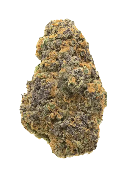 Backpackboyz Sweetz, şekerli aroması ve yüksek THC içeriğiyle öne çıkan bir hibrit türdür. Tatlı ve meyvemsi notalarını keşfedin, hemen görüntüleyin.