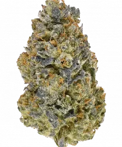 Swiss Goat Cheese, keskin peynir aroması ve THC oranıyla öne çıkan baskın bir indica türüdür. Derin gevşeme ve rahatlama için hemen keşfedin.