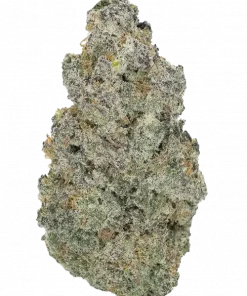 Swiss Miss, narenciye aromaları ve rahatlatıcı etkisiyle bilinen bir Indica türüdür. Uyku sorunları için ideal. Genetik yapısını keşfedin ve deneyimini görüntüleyin.