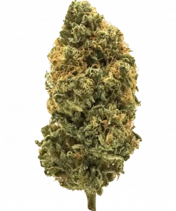 Tahiti Lime, tropikal aromaları ve 'ya varan THC içeriğiyle öne çıkan dengeli bir hibrit türdür. Yaratıcılığı artıran etkilerini keşfedin ve hemen görüntüleyin.