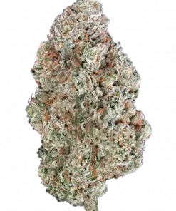 Tahoe Alien, narenciye ve çam aromalarıyla öne çıkan, yüksek THC'li bir indica türüdür. Derin rahatlama ve uyku için ideal. Genetik yapısını keşfedin.