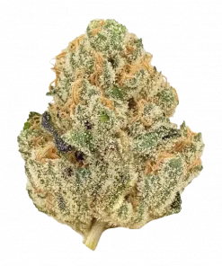 Tahoe OG, yüksek THC içeriği ve rahatlatıcı etkisiyle bilinen baskın bir Indica türüdür. Odunsu, topraksı ve limon aromalarını keşfedin. Hemen görüntüleyin.