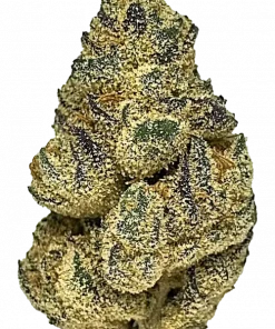 Tally Mon, muz aroması ve yüksek THC içeriğiyle öne çıkan dengeli bir hibrit türdür. Yorgunluk ve stres için potansiyel faydalarını keşfedin. Hemen görüntüleyin.