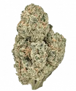 Tangerine Dream, belirgin turunçgil aroması ve dengeli genetiğiyle öne çıkan popüler bir hibrit türdür. Canlandırıcı etkilerini ve genetik yapısını keşfedin.