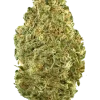 Tangerine Kush, belirgin mandalina aroması ve rahatlatıcı etkileriyle öne çıkan indica baskın bir türdür. OG Kush genetiğiyle eşsiz deneyimi keşfedin.