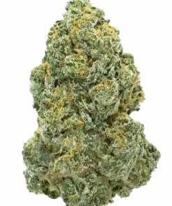 Tangerine Sugar, tatlı mandalina aroması ve yüksek enerjisiyle bilinen Sativa baskın bir türdür. Yaratıcılığınızı artırın ve gününüzü aydınlatın. Özelliklerini keşfedin.