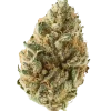 Tangie (Tangerine Dream), belirgin narenciye aroması ve yüksek motivasyon etkisiyle bilinen dengeli bir Sativa/Indica türüdür. Benzersiz özelliklerini keşfedin.