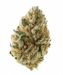 Tangie (Tangerine Dream), belirgin narenciye aroması ve yüksek motivasyon etkisiyle bilinen dengeli bir Sativa/Indica türüdür. Benzersiz özelliklerini keşfedin.