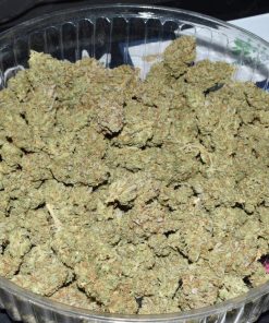 Tangie Auto Fem Esrar Tohumu (Fast Buds)