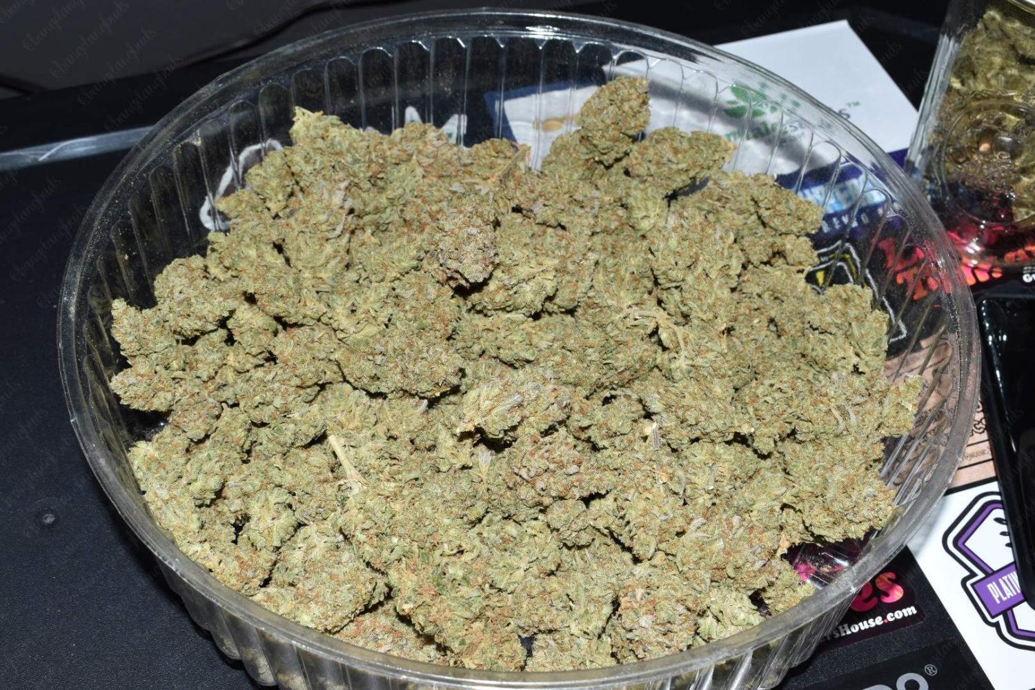 Tangie Auto Fem Esrar Tohumu (Fast Buds)