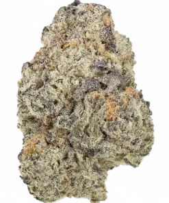 Tangieberto, tatlı mandalina aroması ve THC oranıyla öne çıkan indica baskın türdür. Stres ve anksiyeteye karşı potansiyel faydalarını keşfedin. Hemen görüntüleyin.