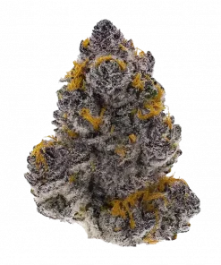 Tangilope Kush, sert narenciye aroması ve dengeli etkisiyle bilinen bir hibrit türdür. Yüksek verimli genetik yapısını keşfedin ve eşsiz deneyimini görüntüleyin.