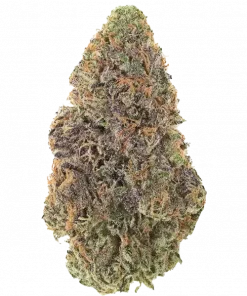 Tarte Tatin, karamel ve elma aromalarıyla öne çıkan indica dominant bir türdür. THC ile rahatlatıcı ve enerji verici etkiler sunar. Özelliklerini keşfedin.