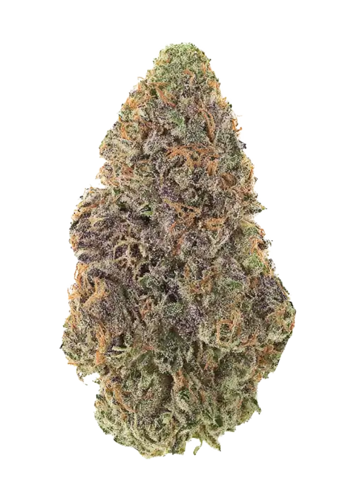 Tarte Tatin, karamel ve elma aromalarıyla öne çıkan indica dominant bir türdür. THC ile rahatlatıcı ve enerji verici etkiler sunar. Özelliklerini keşfedin.