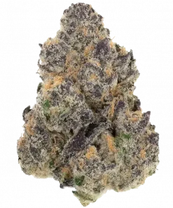 Tarts, keskin nane aroması ve THC oranıyla bilinen Indica baskın bir türdür. Öforik etkileriyle rahatlatır. Bu eşsiz türü keşfedin.