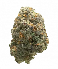 Tea Time, tropikal aromaları ve enerji verici etkisiyle bilinen Sativa baskın bir türdür. Yüksek verimiyle öne çıkar. Genetik yapısını keşfedin ve özelliklerini görüntüleyin.