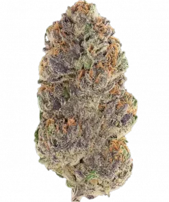 Ted Goblin, mentol aroması ve yüksek THC içeriğiyle bilinen Indica dominant bir türdür. Rahatlatıcı etkileriyle öne çıkar. Genetik yapısını keşfedin.