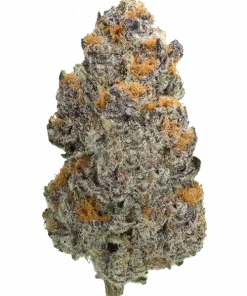 Ted Penguin, portakallı şerbet aroması ve rahatlatıcı etkisiyle bilinen indica baskın bir türdür. Yüksek enerjili yapısıyla öne çıkar. Özelliklerini keşfedin.