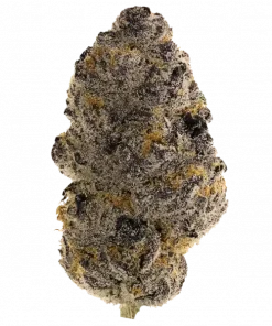 Ted Toker, kimyasal limon aroması ve tatlı şeker tadıyla öne çıkan bir hibrit türdür. Yaratıcılığı artıran ve enerji veren etkilerini keşfedin.