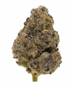 Tembleque, narenciye ve toprak aromalı, yüksek THC'li Indica baskın bir türdür. Yaratıcılığı artıran ve rahatlatan bu özel türü keşfedin.