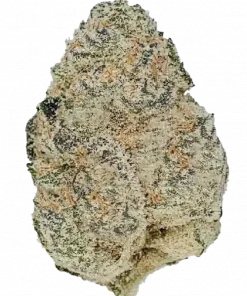 Temptation, çikolata ve yakıtımsı notalarıyla öne çıkan dengeli bir hibrit türdür. 'a varan THC içeriğiyle dikkat çeker. Bu eşsiz türü keşfedin.