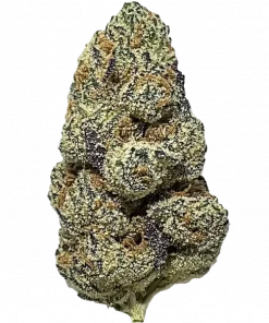 Tequila Sunrise, ananas aromalı ve yüksek THC'li Sativa baskın bir türdür. Stres ve depresyona iyi gelir. Genetik yapısını ve etkilerini keşfedin.