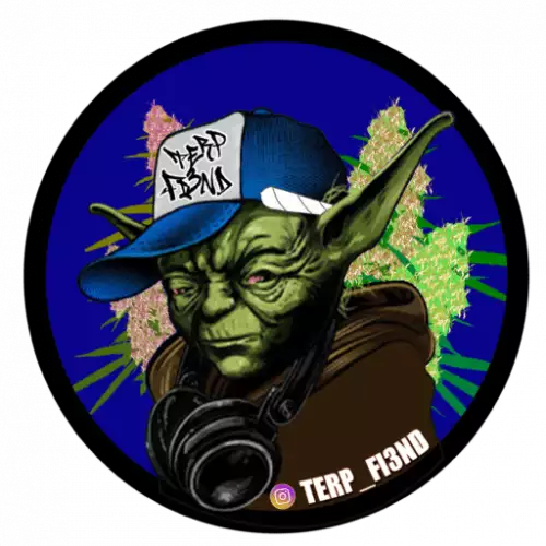 Terp fi3nd Genetics