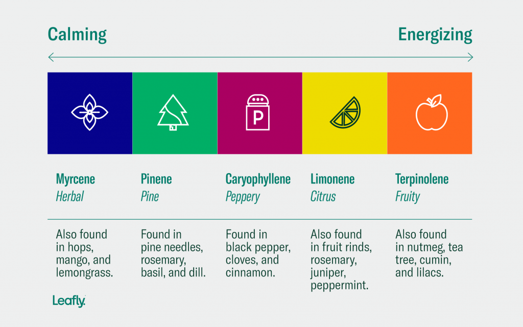 Terpenes (Terpenler)