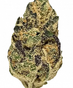 Texas Shoreline, yakıtımsı ve baharatlı aromalarıyla öne çıkan, indica baskın bir türdür. Rahatlatıcı etkileriyle bilinen bu türü keşfedin.