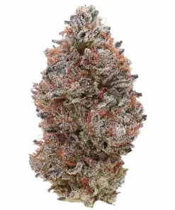Tezla OG, tatlı narenciye aroması ve rahatlatıcı etkileriyle bilinen indica baskın bir türdür. Yüksek verimiyle öne çıkar. Bu eşsiz türü keşfedin.