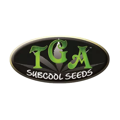 TGA Genetics Subcool Seeds