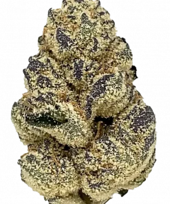 That Badu, sert yakıtımsı aroması ve yüksek THC içeriğiyle öne çıkan Indica dominant bir türdür. Toprak ve narenciye notalarıyla zenginleşen bu türün genetik yapısını keşfedin.