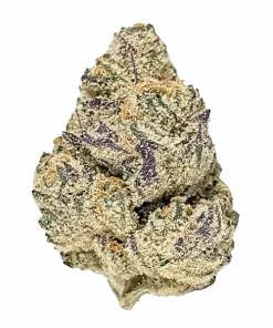 THC Bomb, yakıtımsı aroması ve dengeli genetiğiyle öne çıkan bir hibrit türdür. Öfori ve rahatlama sunan bu türün genetik yapısını keşfedin.