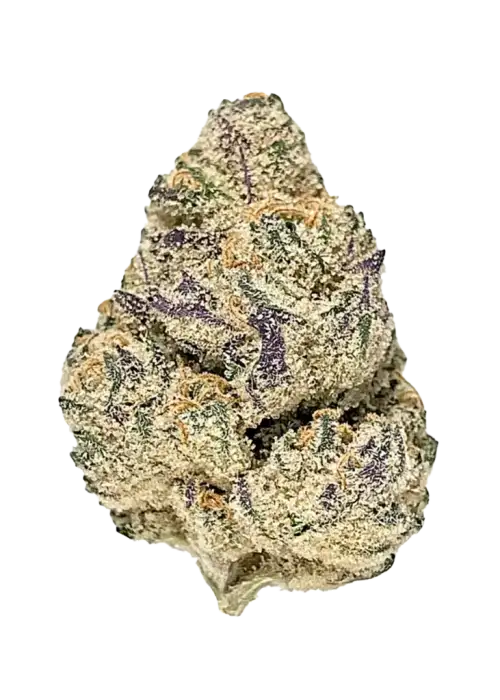 THC Bomb, yakıtımsı aroması ve dengeli genetiğiyle öne çıkan bir hibrit türdür. Öfori ve rahatlama sunan bu türün genetik yapısını keşfedin.