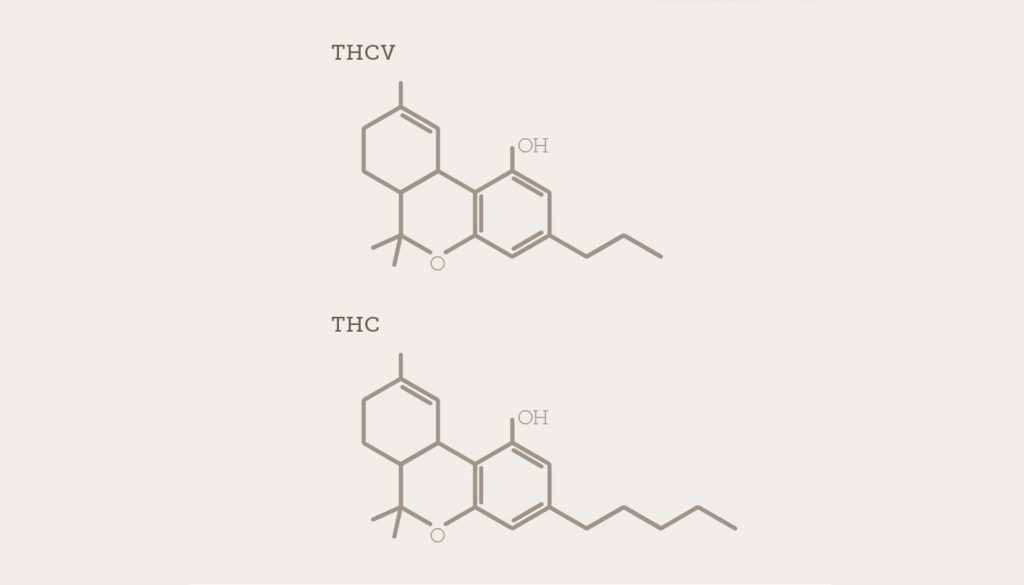 THCV, Tetrahidrokannabivarin