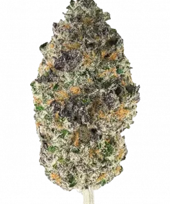 The Big Cheese, keskin çedar ve çilek aromalarıyla rahatlatıcı bir hibrit türdür. Anksiyete ve stresi azaltmaya yardımcı olabilir. Özelliklerini keşfedin.