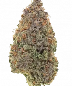 The Bird, yakıtımsı ve egzotik aromalarıyla öne çıkan Indica dominant bir türdür. Rahatlatıcı etkileriyle bilinir. Genetik yapısını keşfedin ve deneyimini görüntüleyin.