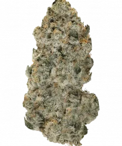 The Bling, kimyasal limon aroması ve çiçeksi notalarıyla öne çıkan indica dominant bir türdür. Yüksek THC içeriğiyle etkilerini keşfedin ve hemen görüntüleyin.