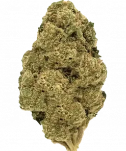Don Mega, keskin narenciye aroması ve 'a varan THC içeriğiyle öne çıkan dengeli bir hibrit türdür. Yoğun etkilerini keşfedin ve hemen görüntüleyin.