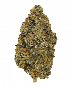 The Fizz, çilek-vanilya aromaları ve yüksek THC içeriğiyle bilinen Indica dominant bir türdür. Gündüz kullanım için ideal bu eşsiz türü keşfedin.