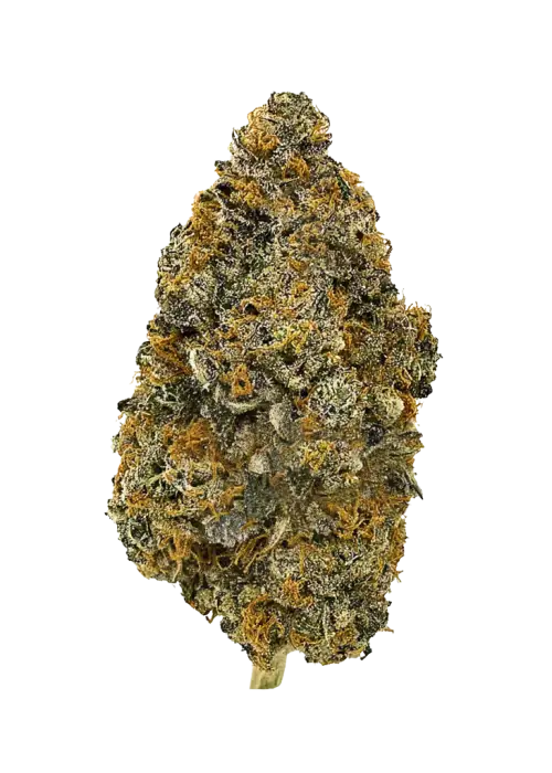 The Fizz, çilek-vanilya aromaları ve yüksek THC içeriğiyle bilinen Indica dominant bir türdür. Gündüz kullanım için ideal bu eşsiz türü keşfedin.