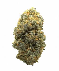 The Hive, bal ve tropikal aromalarıyla öne çıkan Indica dominant bir türdür. Yüksek THC içeriğiyle depresyon ve stresi azaltmaya yardımcı olabilir. Etkilerini keşfedin.