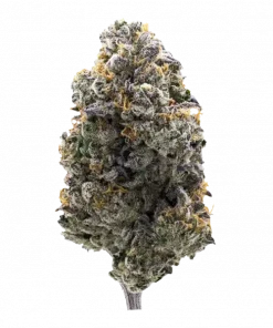 The Keeper, orman meyveleri aromalı, dengeli bir hibrit türdür. THC içeriğiyle hem rahatlatıcı hem de ilham verici etkiler sunar. Özelliklerini keşfedin.