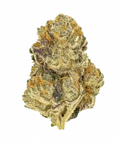 Lemonade, yoğun limon aroması ve enerji verici etkileriyle bilinen Sativa baskın bir türdür. Gorilla Haze genetiğini keşfedin ve detaylı özelliklerini görüntüleyin.