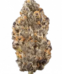 The Pandalorian, tatlı aroması ve 'e varan THC içeriğiyle öne çıkan indica baskın bir türdür. Derin rahatlama ve keyifli etkileri keşfedin.