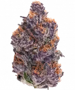 The Pulp Father, portakal yakıtımsı aroması ve yüksek THC içeriğiyle öne çıkan bir hibrit türdür. Zihinsel etkilerini ve genetik yapısını keşfedin.