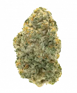 The Rizz, tatlı, benzin kokulu ve çam aromalı, yüksek THC'li bir Indica türüdür. Stres ve kaygı giderme potansiyelini keşfedin, genetik yapısını görüntüleyin.