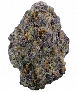 Meet The Wolf, yakıtımsı ve odunsu aromaları ile öne çıkan dengeli bir hibrit türdür. -25 THC içeriğiyle zihinsel uyarı sunar. Özelliklerini keşfedin.