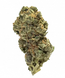 Thin Mint, nanemsi aroması ve 'e varan THC içeriğiyle dikkat çeken bir hibrit türdür. OG Kush ve Durban Poison genetiğini keşfedin ve etkilerini görüntüleyin.